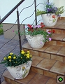 thn_kvetiny (13).jpg
